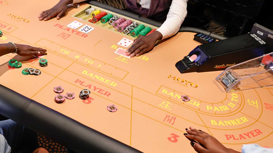 Keeping the Excitement Alive at Moyo Casino: Innovation and Entertainment Hub