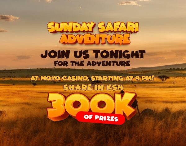 The Sunday Safari Adventure at Moyo Casino