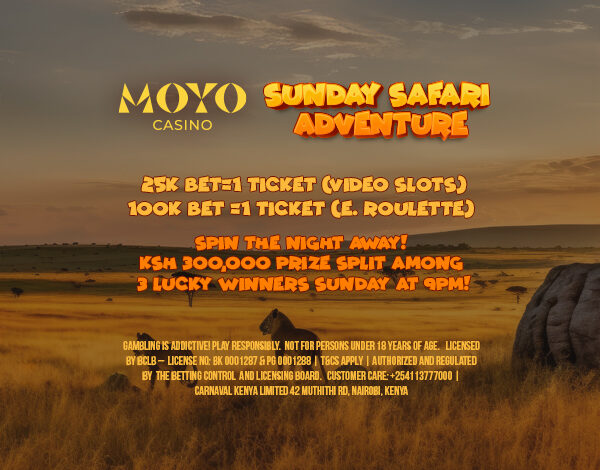 Weekend Highlights at Moyo Casino: Sports, Jackpots & Big Wins