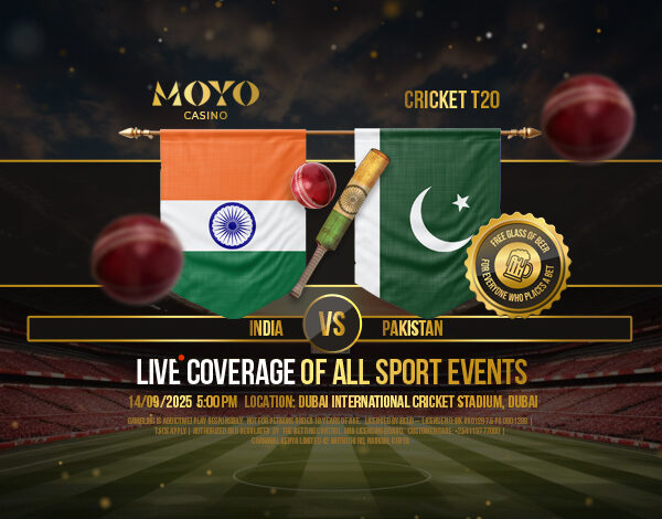 Live Action, Big Bets, and Unmatched Excitement at Moyo Casino